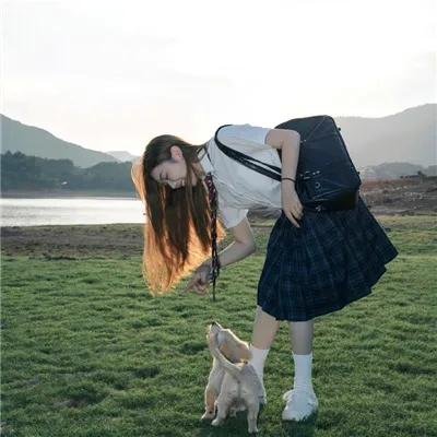 森林泰山